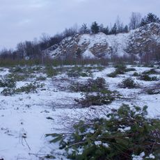 Buchenberg bei Krölpa