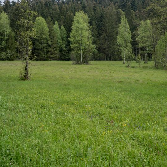 Strawiesen im Redltal