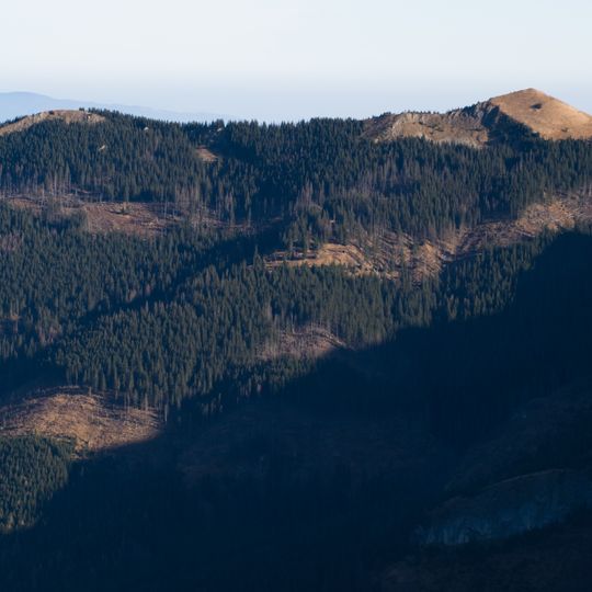 Zadnia Kopa Jaworzyńska