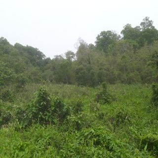 Garbhanga Wildlife Sanctuary