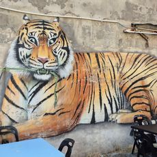 Lying Tiger