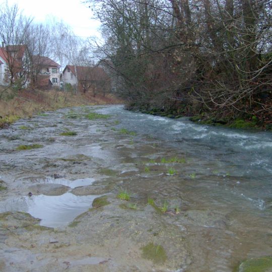 Schneckenpflaster an der Steinlach