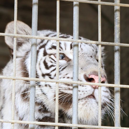 しろとり動物園