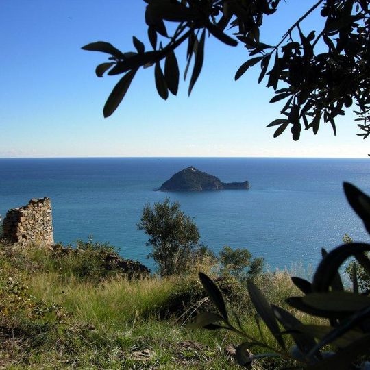 Gallinara