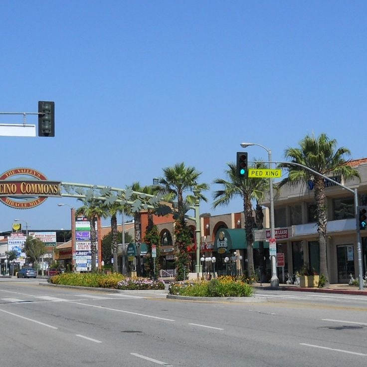 Encino Hills