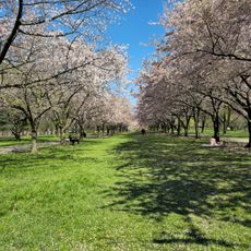Centennial Arboretum