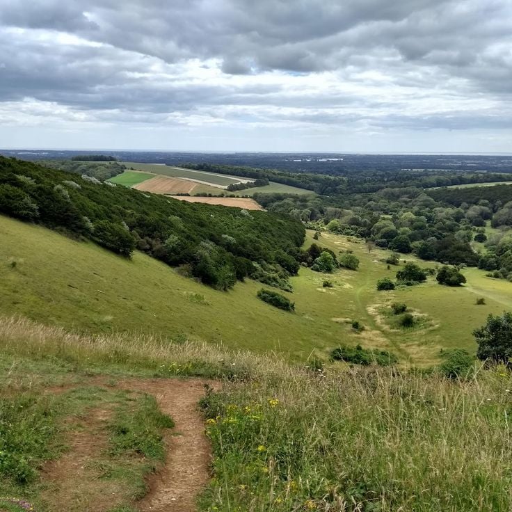 Kingley Vale