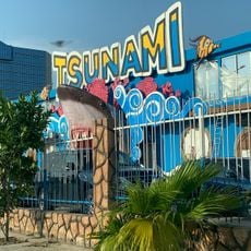 Tsunami Parc