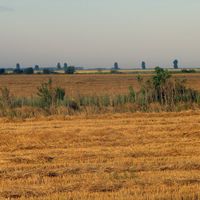 District Călărași