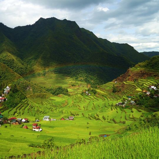 Risaie a terrazzamenti delle cordigliere delle Filippine