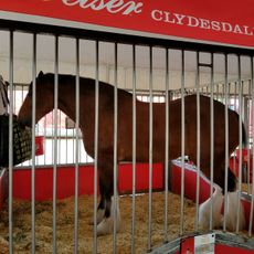 Monroe County Fairgrounds