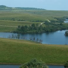 The Wilds