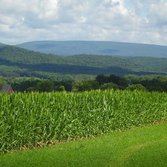 Condado de Huntingdon