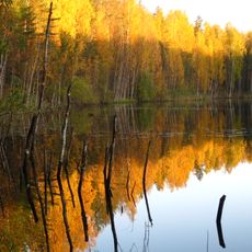 Kuradijärv