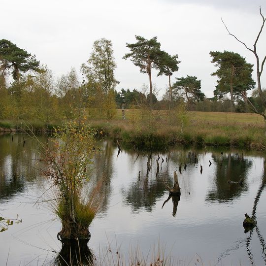 Am Großen Renzeler Moor