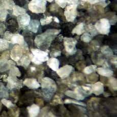 Peace River Formation