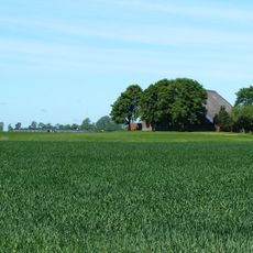 Terrein met een wierde (Mentemaheerd)