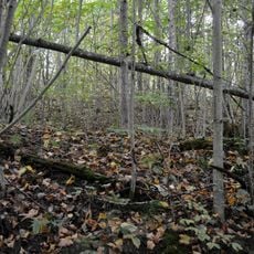 Dauguļu Kapču kalns