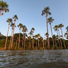 Rogaguado Lake