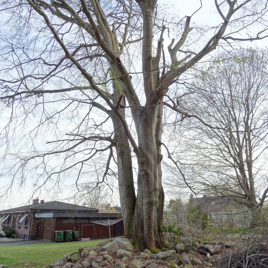 Två bokar , Broby 4:79