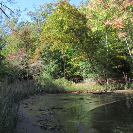 Martins Pond Site