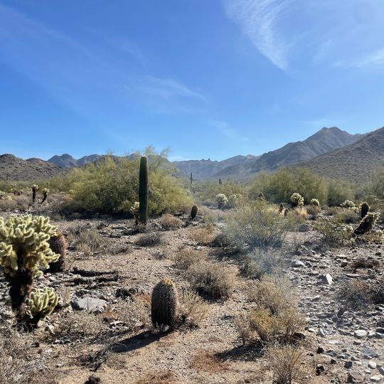 Gateway Trailhead - McDowell Sonoran Preserve