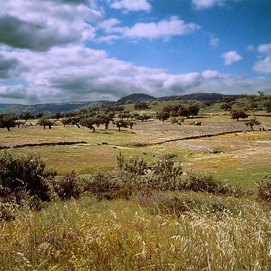 Sierra de Aracena and Picos de Aroche Natural Park