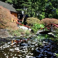 Park and Tilford Gardens