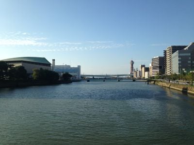 La vista 1