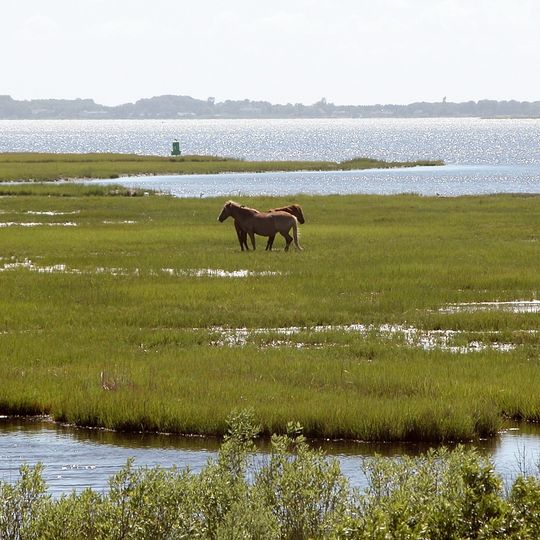 Parc d'État Assateague