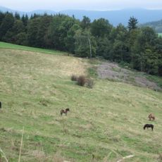 Bayerische Hohe Rhön