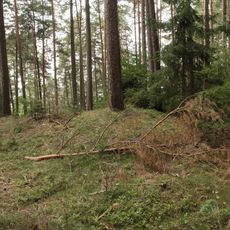 Burgstall Hohenrasch