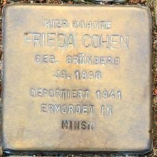 Stolperstein en memoria de Frieda Cohen