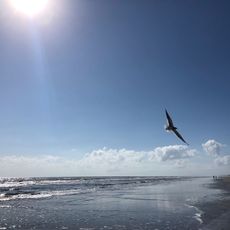 The Dunes of West Beach Access Point #23A