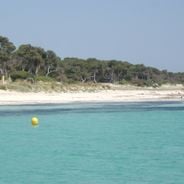 スペインのビーチ：カナリア諸島、バレアレス諸島、カンタブリア
