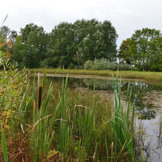 Manor of Julia Samoylova park