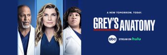 Grey's Anatomy Profile Cover