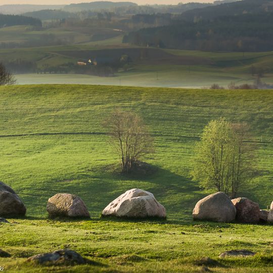 Rezerwat przyrody Głazowisko Łopuchowskie