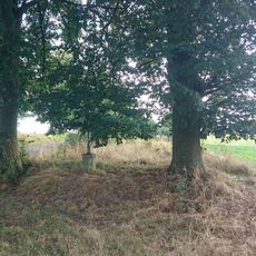 Kříž jižně od Krtova (2)