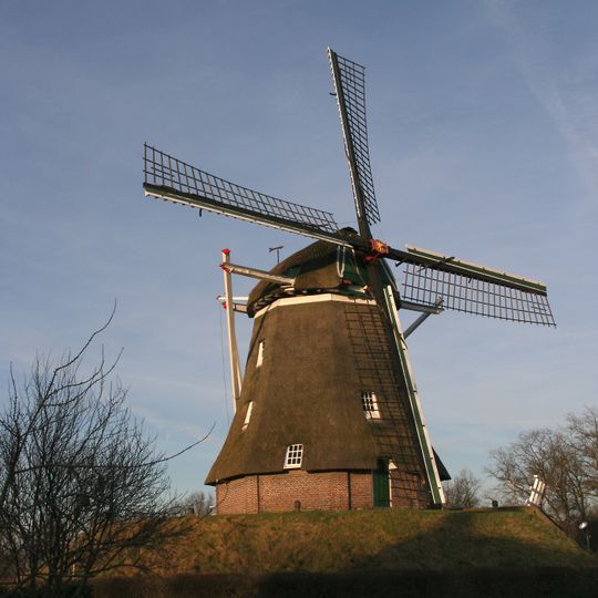 Anermolen