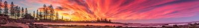 Panoramik Görünüm 1