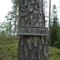 Pine F. Park