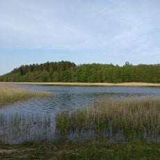 Viskūžu sala