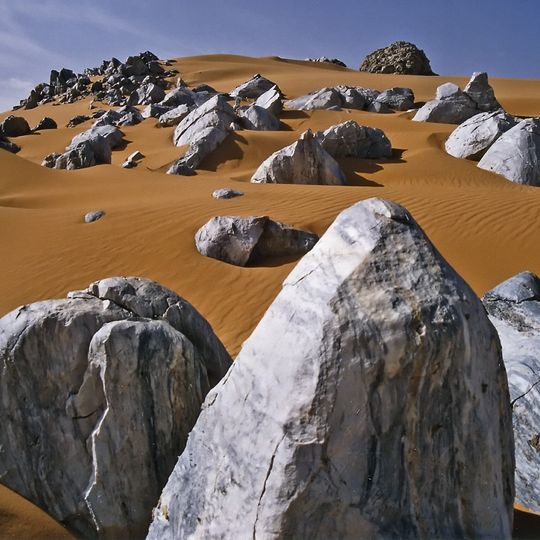 Aïr and Ténéré National Nature Reserve