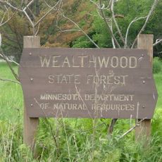 Wealthwood State Forest
