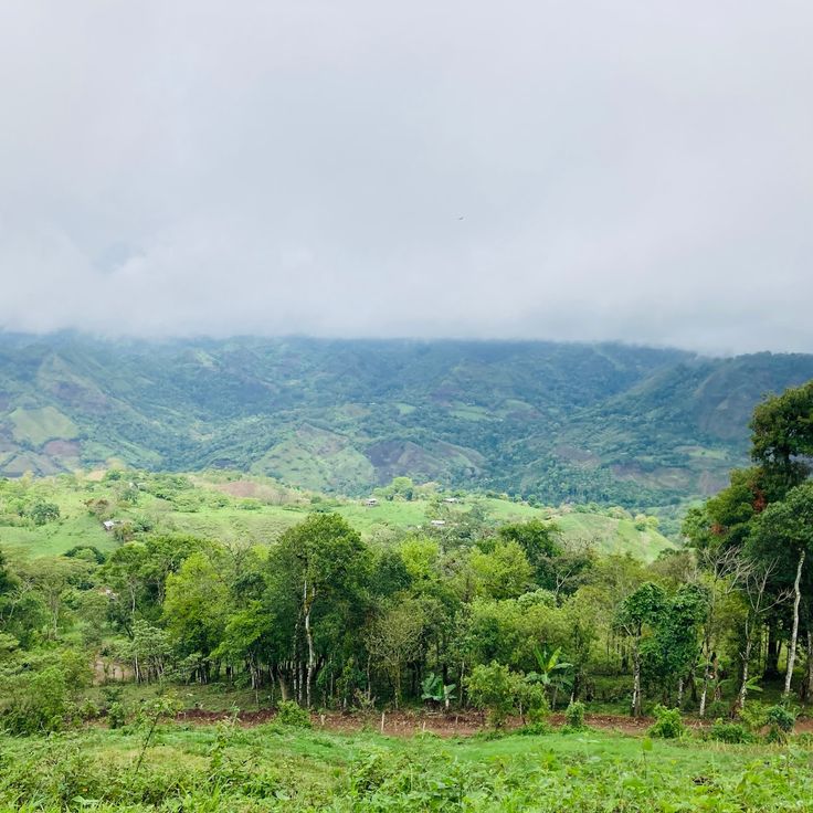 Miraflor Natural Reserve