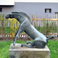 Aufspringendes Pferd