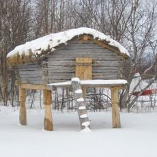 Wassillie Trefon Dena'ina Fish Cache