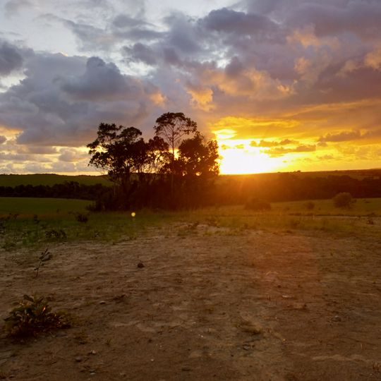 Parco nazionale di Conkouati-Douli