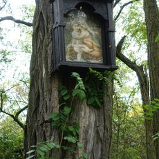 Bildbaum Tobelbachgraben